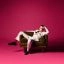 Portrait of Robbie Williams in a white suit on a velvet chair against a pink background at Moco Museum London