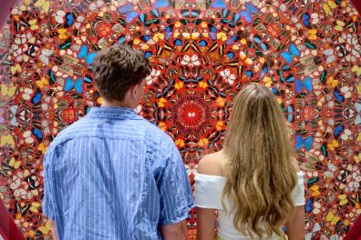 Parella admirant instal·lació mural de papallones de Hirst al Moco Museum London