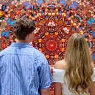 Couple admirant installation murale de papillons de Hirst au Moco Museum London